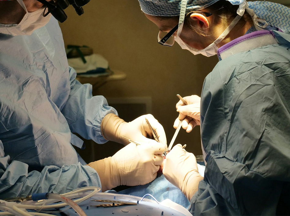 Anwendungen von Endoskopie geräten und Zubehör