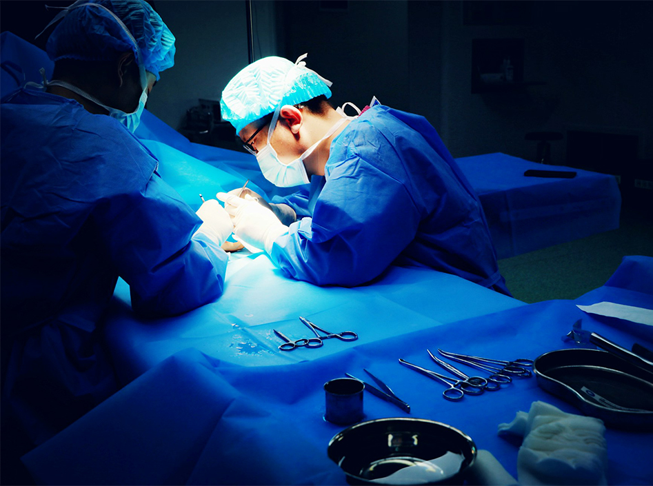 Anwendungen der Endoskopie-Plattform