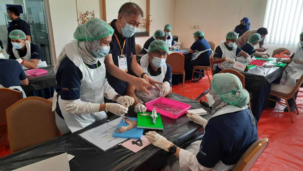 Training course & workshop in Indonesia